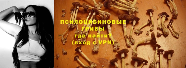 винт Беломорск